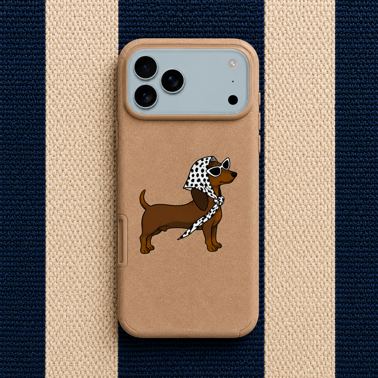 Daschund de Valbonne