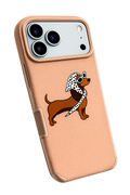 Daschund de Valbonne